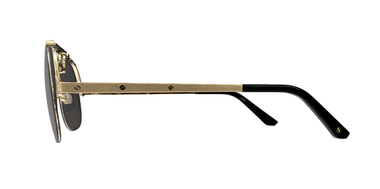 Cartier CT0353S 001 62