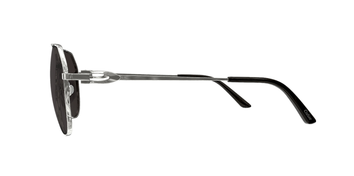 Cartier CT0364S 001 59